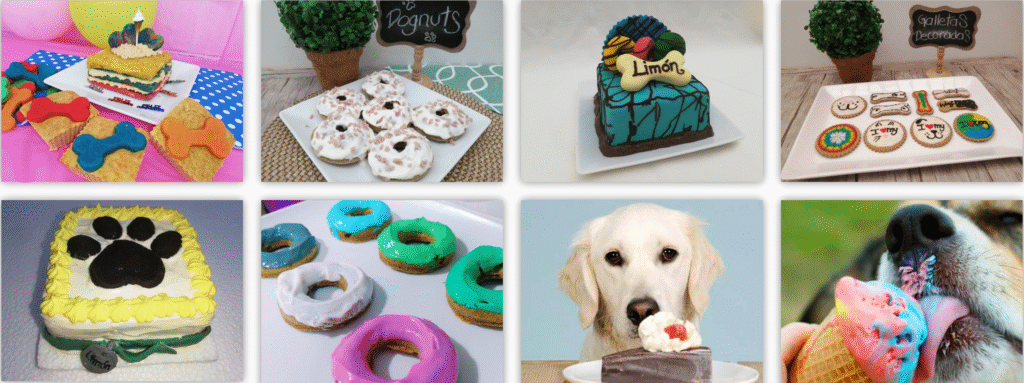 Ejemplo de postres saludables para perros y gatos hechos en el curso de pastelería canina y felina