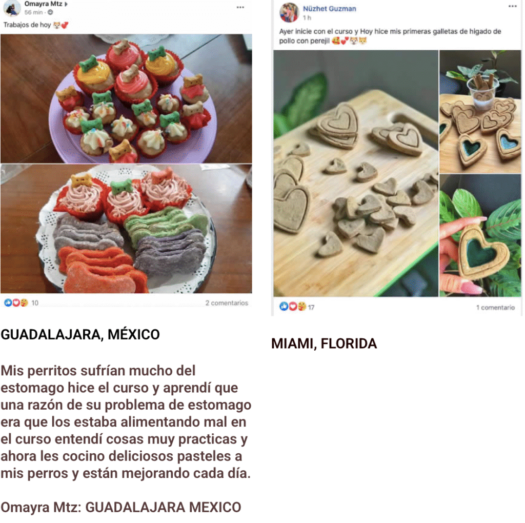 Opiniones reales de alumnos que completaron el curso de pastelería para mascotas con Diana Fonseca