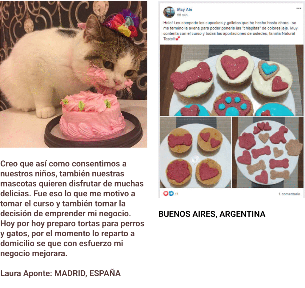 Opiniones reales de alumnos que completaron el curso de pastelería para mascotas con Diana Fonseca