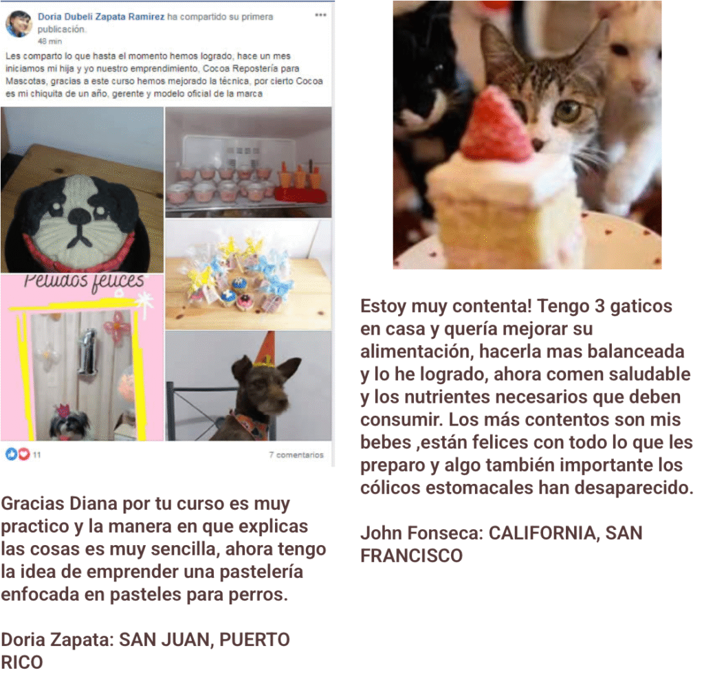 Opiniones reales de alumnos que completaron el curso de pastelería para mascotas con Diana Fonseca