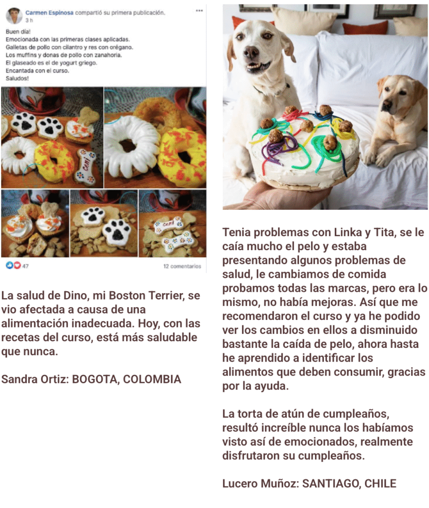 "Opiniones reales de alumnos que completaron el curso de pastelería para mascotas con Diana Fonseca"