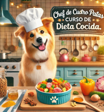 "Chef de cuatro patas: curso de dieta cocida de Laura Pacheco"