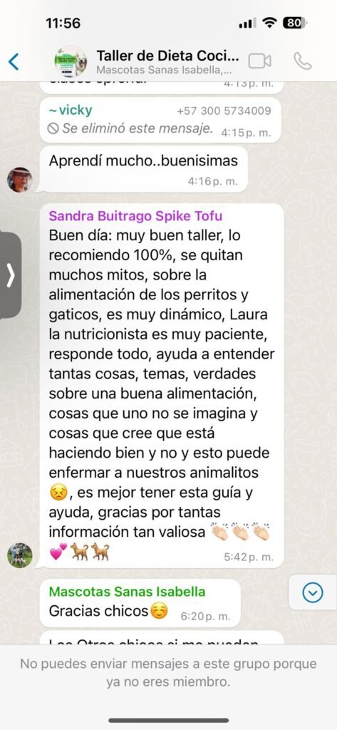 "Alumnos de Chef de Cuatro Patas compartiendo testimonios en la comunidad privada"