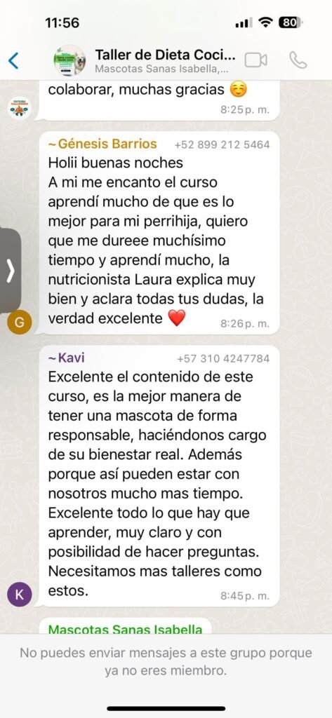 "Alumnos de Chef de Cuatro Patas compartiendo testimonios en la comunidad privada"