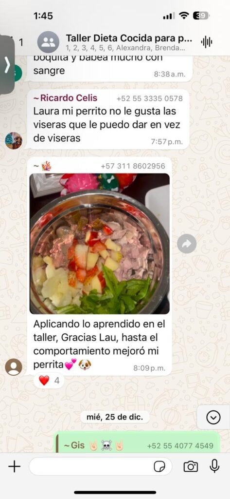 "Alumnos de Chef de Cuatro Patas compartiendo testimonios en la comunidad privada"