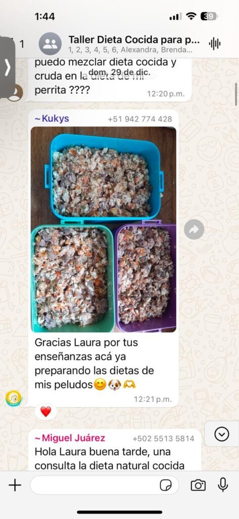 "Alumnos de Chef de Cuatro Patas compartiendo testimonios en la comunidad privada"