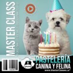 Pastel saludable para perros - receta de pastelería canina