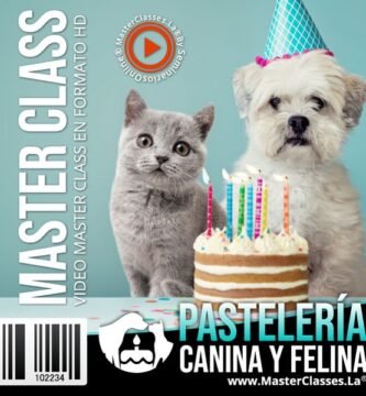 Pastel saludable para perros - receta de pastelería canina