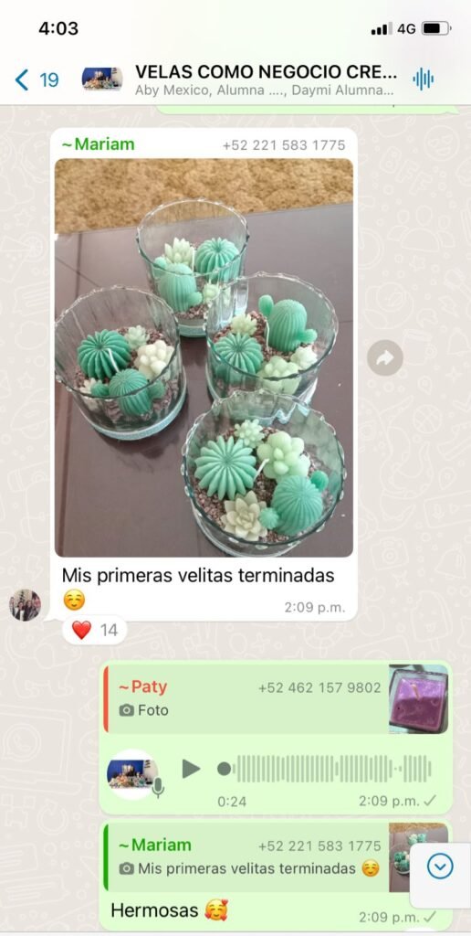 "Trabajos realizados por alumnas curso de Paola Andrea Herrera Castiblanco"